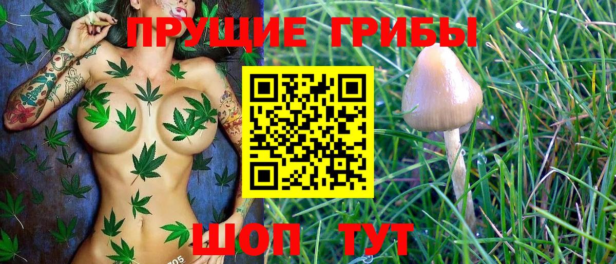 Галлюциногенные грибы Magic Shrooms Острогожск
