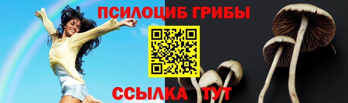 Псилоцибиновые грибы Magic Shrooms  Вход с VPN  Острогожск 